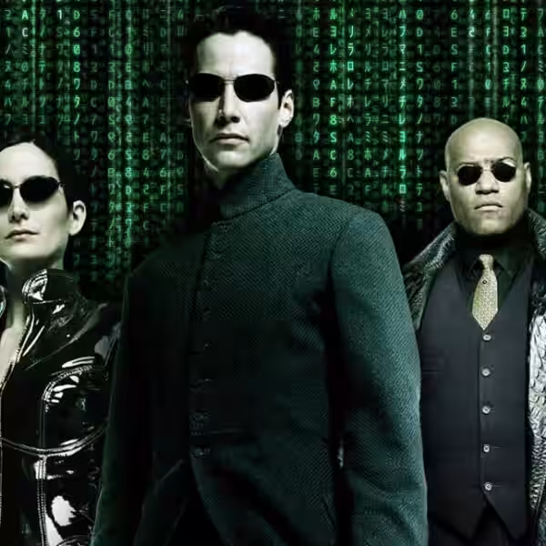 365137 vnxzx1nzbl 22 08