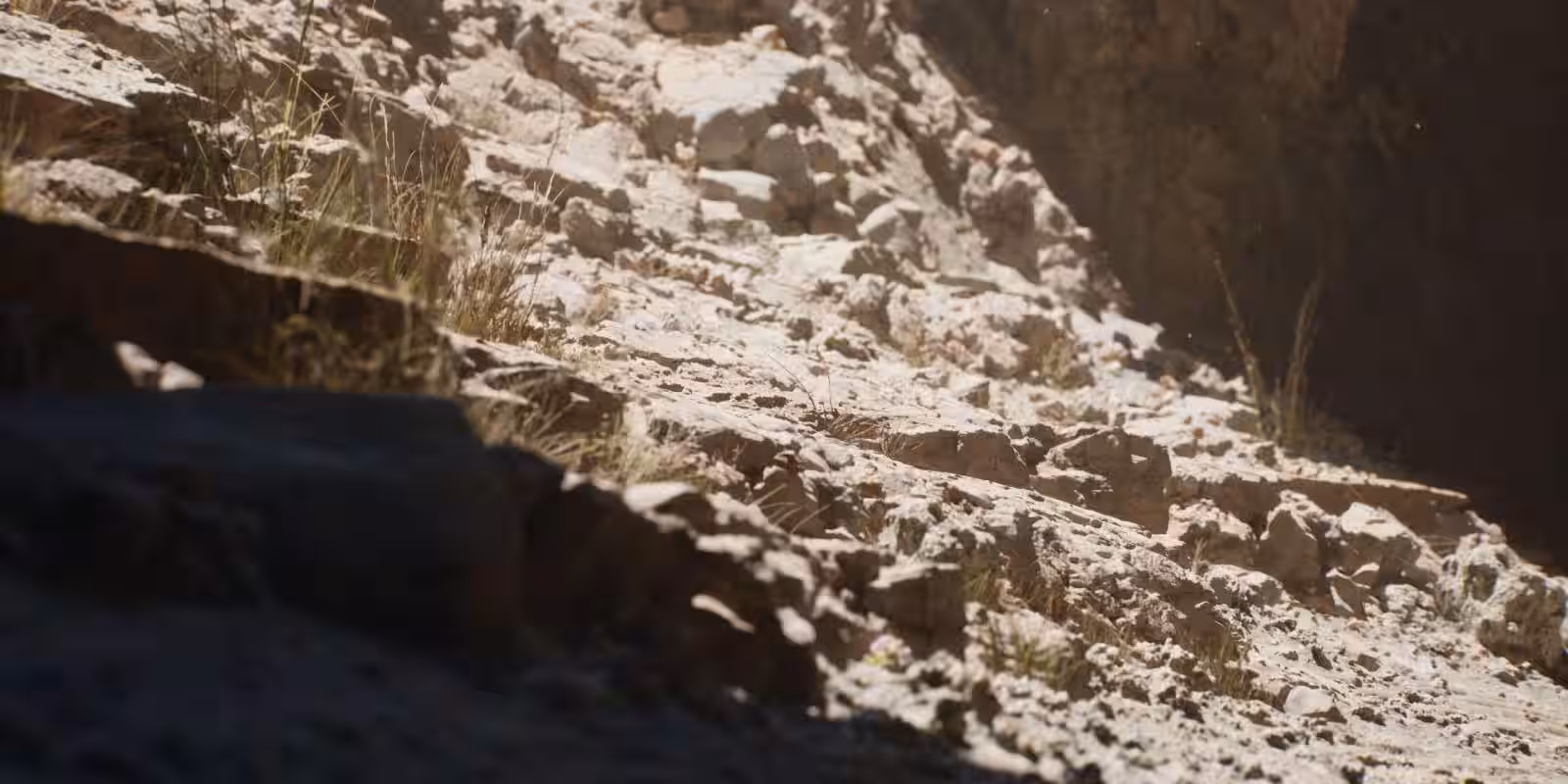 Unreal Engine 5 сможет стабильно работать на видеокартах RTX 2080 в качестве 1440p 3 unreal engine 5 inanilmaz grafikler 5720 2 scaled 1