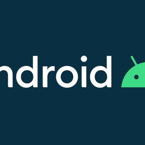 Ошибка Google позволила обновить Pixel 4 XL до бета-версии Android 11 (googles giant mistake allows some pixel 4 xl users to install the first android 11 beta)