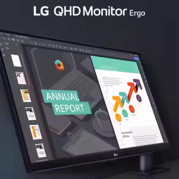 lg 27 qhd ergo ips monitor