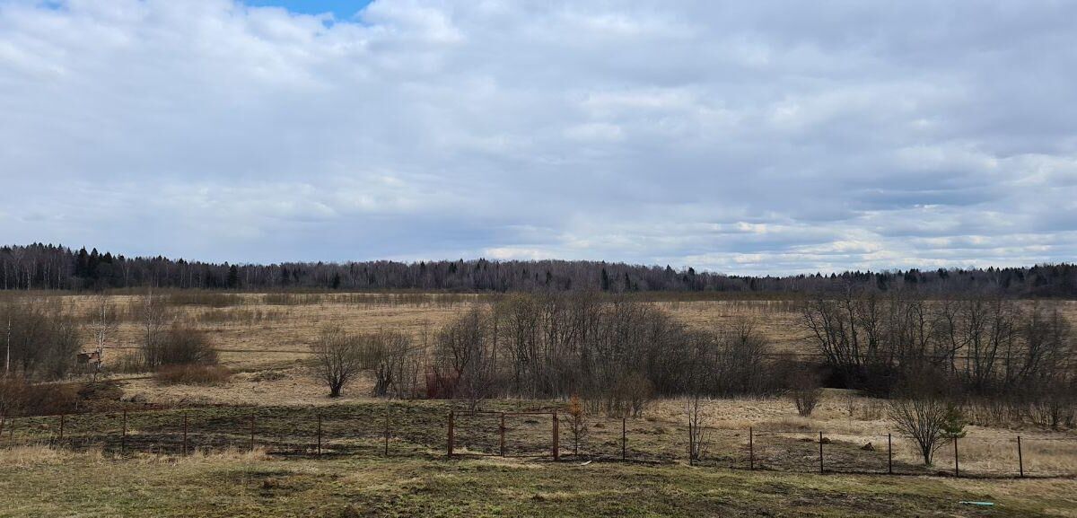 Пейзаж с полем деревьями и облаками на фоне смартфона Samsung Galaxy S20+