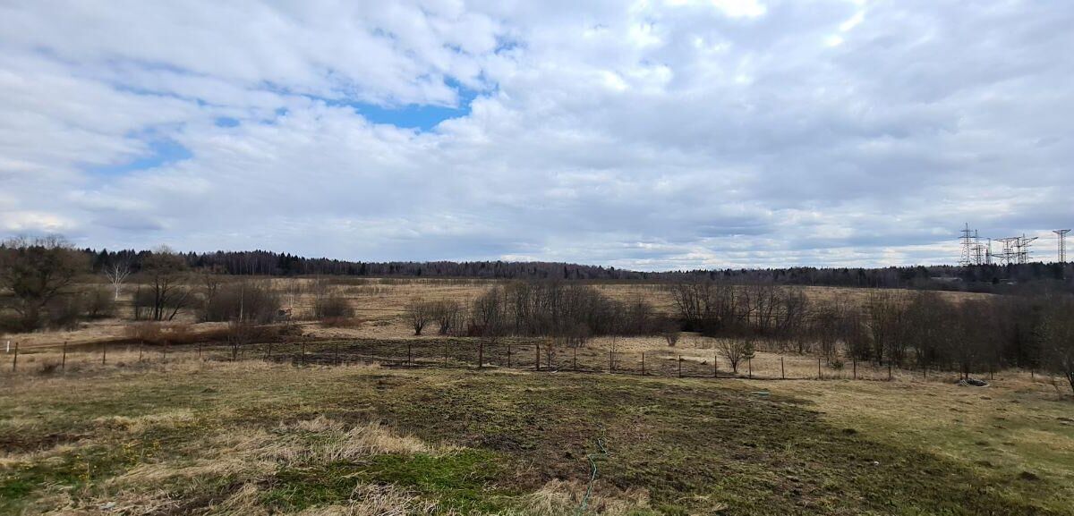 Пейзаж с полем и деревьями на фоне облачного неба для Samsung Galaxy S20+