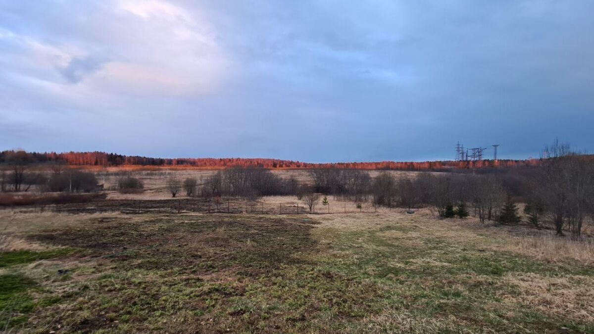 Пейзаж с небом и деревьями на фоне Samsung Galaxy S20+