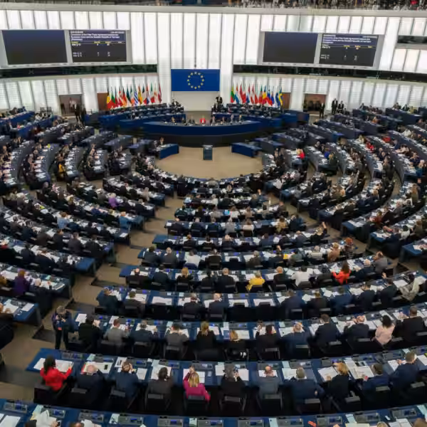 49524887688 2e14c99bb4 k