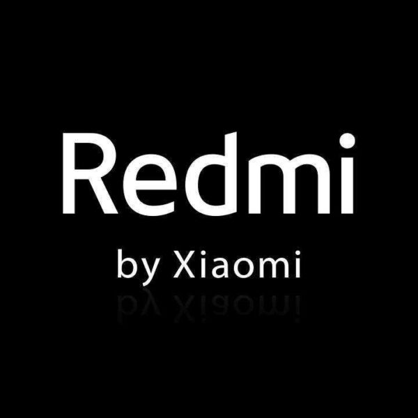 Redmi K40 Pro впервые показали на фото (Redmi logo 1)