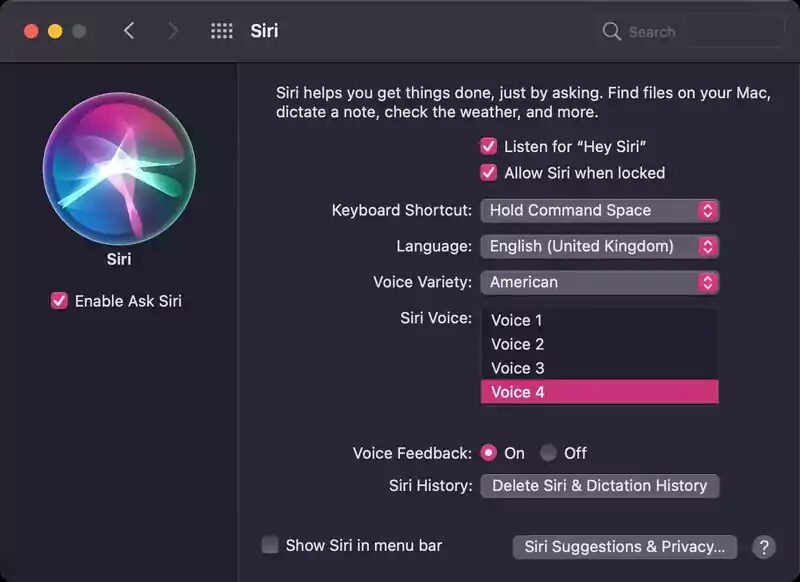 iOS 14.5: как изменить голос Siri 3 macos 11 3 siri