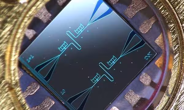 212388 0i5fehijdu quantum
