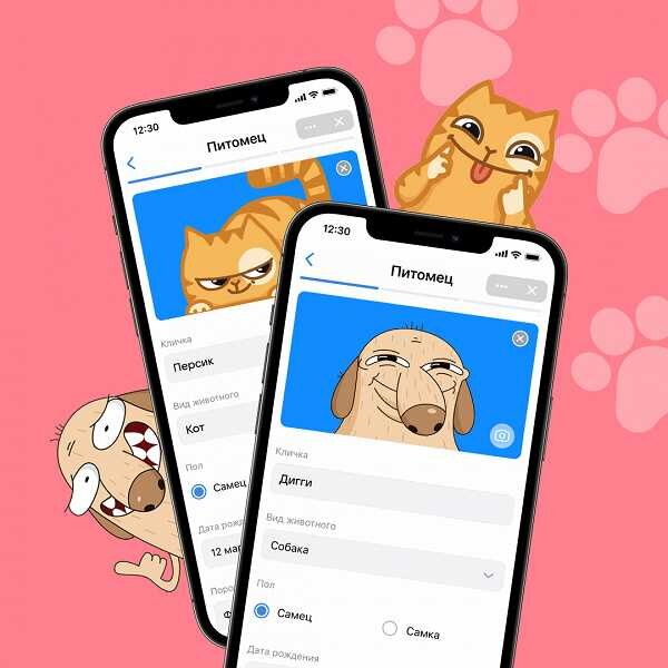 ВКонтакте появился сервис, который будет помогать заботиться о своих питомцах 3 vk pets 2 large