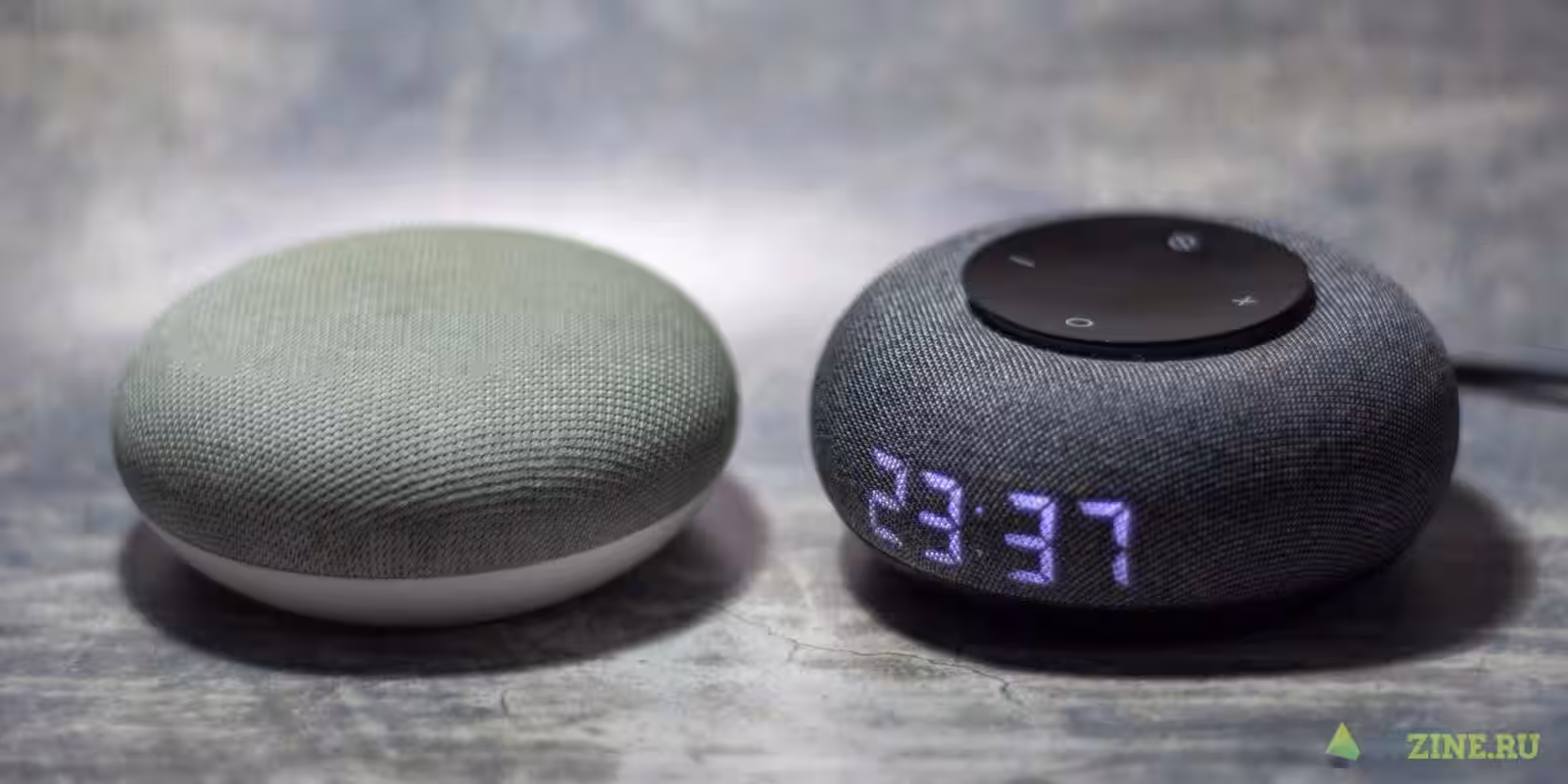 Маруся расскажет, как помочь бездомным животным 2 Умные колонки Капсула Мини и Google Home mini