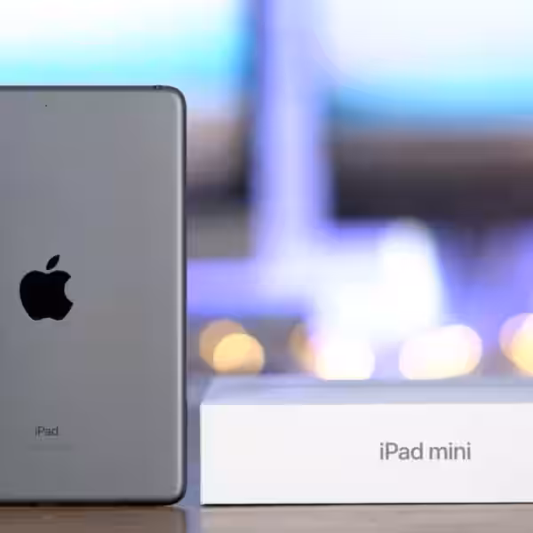 ipad mini large