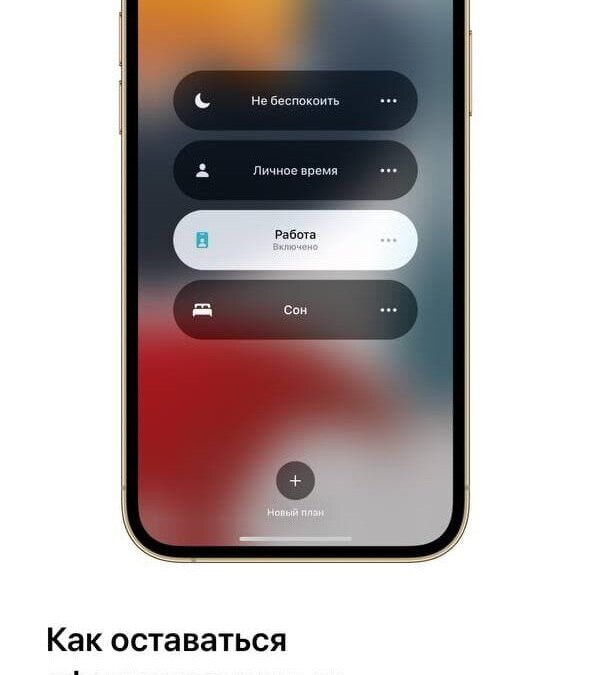 photo 2021 09 20 23 02 25 edited