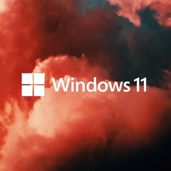Выпущена сборка Windows 11 Live Disk (Windows 11)