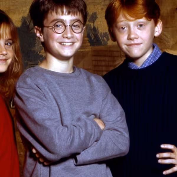 Harry Potter 20th Anniversary
