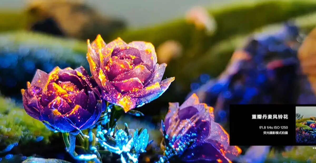 Huawei P50 Pocket представлен официально 6 Screenshot 2021 12 23 132743