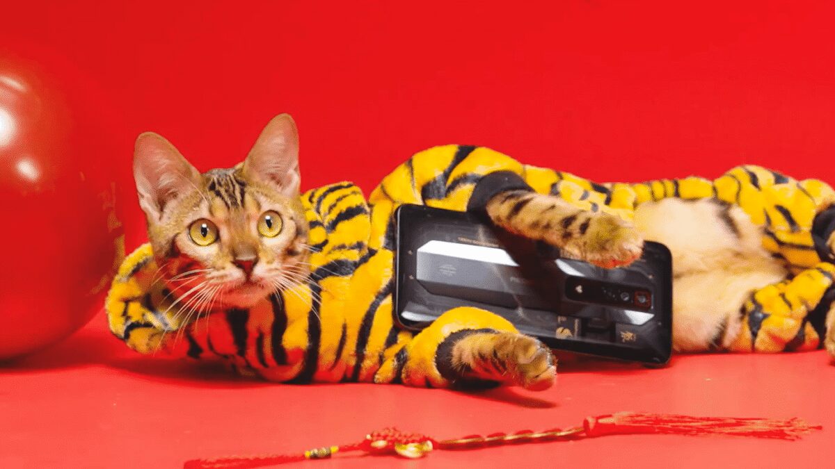 Дизайн игрового флагмана Nubia Red Magic 7 раскрыт в новой утечке 2 Nubia Red Magic 7