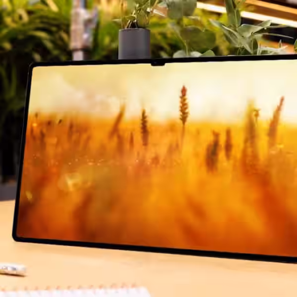 Samsung Galaxy Tab S8