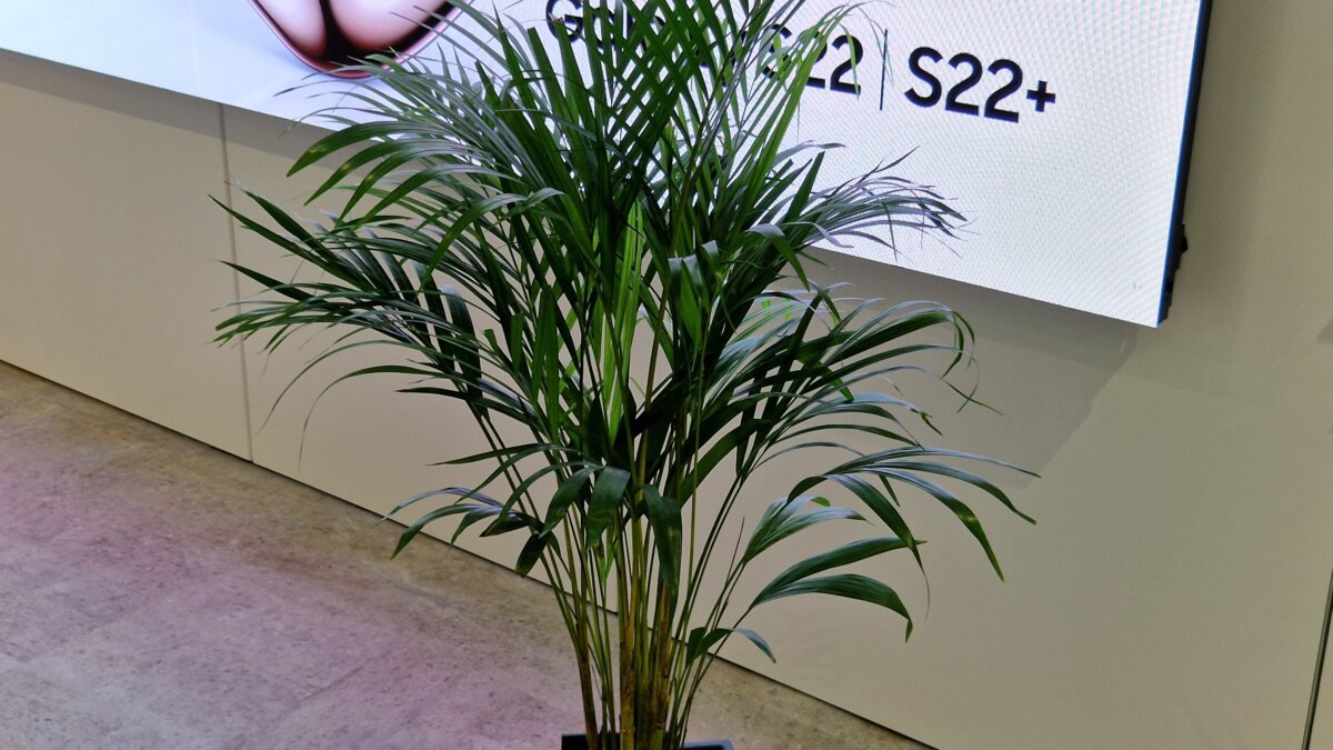 20220210 173653 scaled