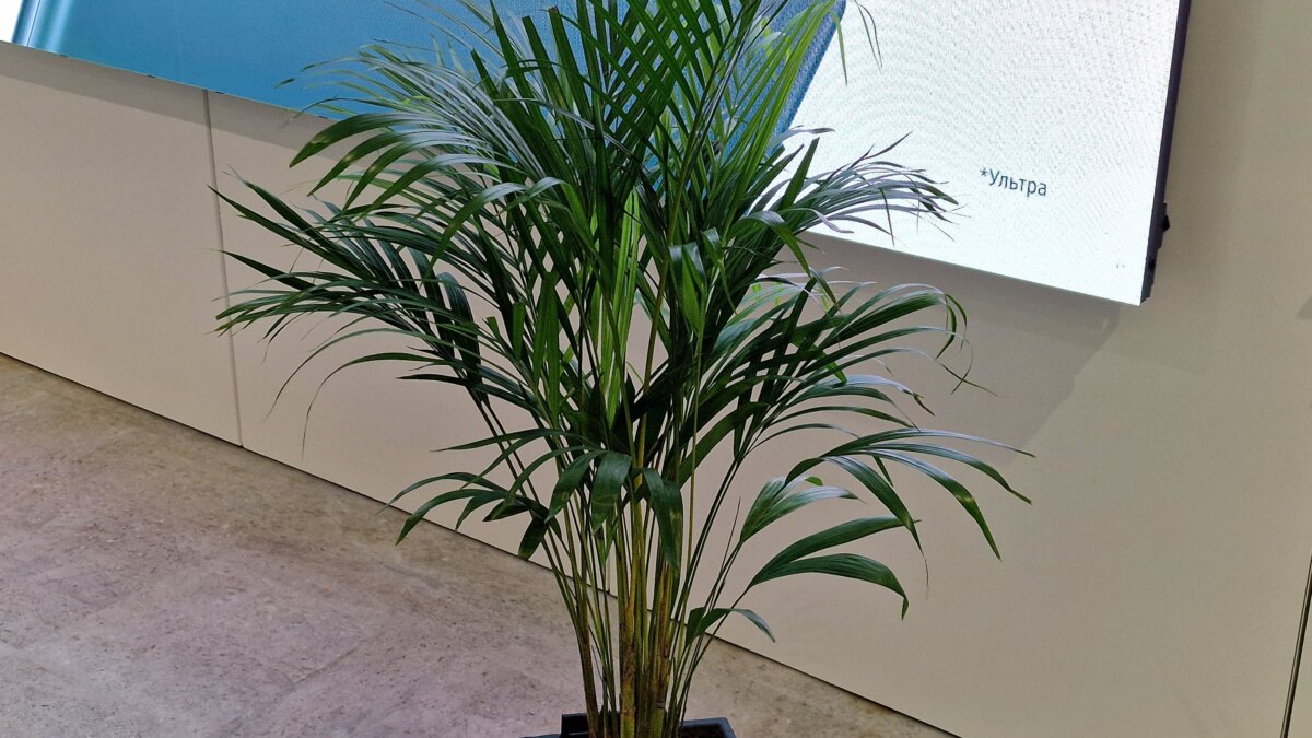 20220211 024918 scaled