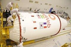 owl detail 240 29f21397b354247d52ad7c5ceb50d4c4