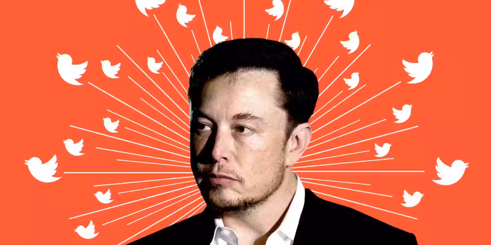 Twitter не предоставляет Илону Маску данные о фейк-аккаунтах. Сделка может сорваться 2 Twitter