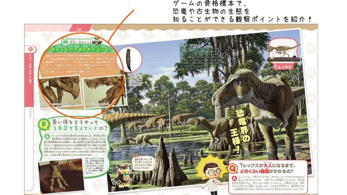 У Animal Crossing в Японии появится собственная энциклопедия природы 6 Animal Crossing: New Horizons