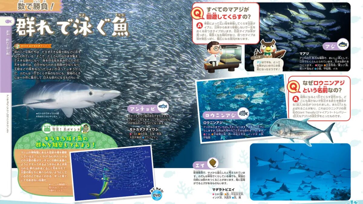 У Animal Crossing в Японии появится собственная энциклопедия природы 9 Animal Crossing: New Horizons