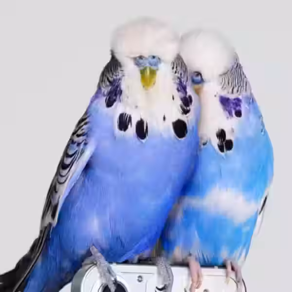 Тизер Nothing phone (1) раскрывает часть дизайна