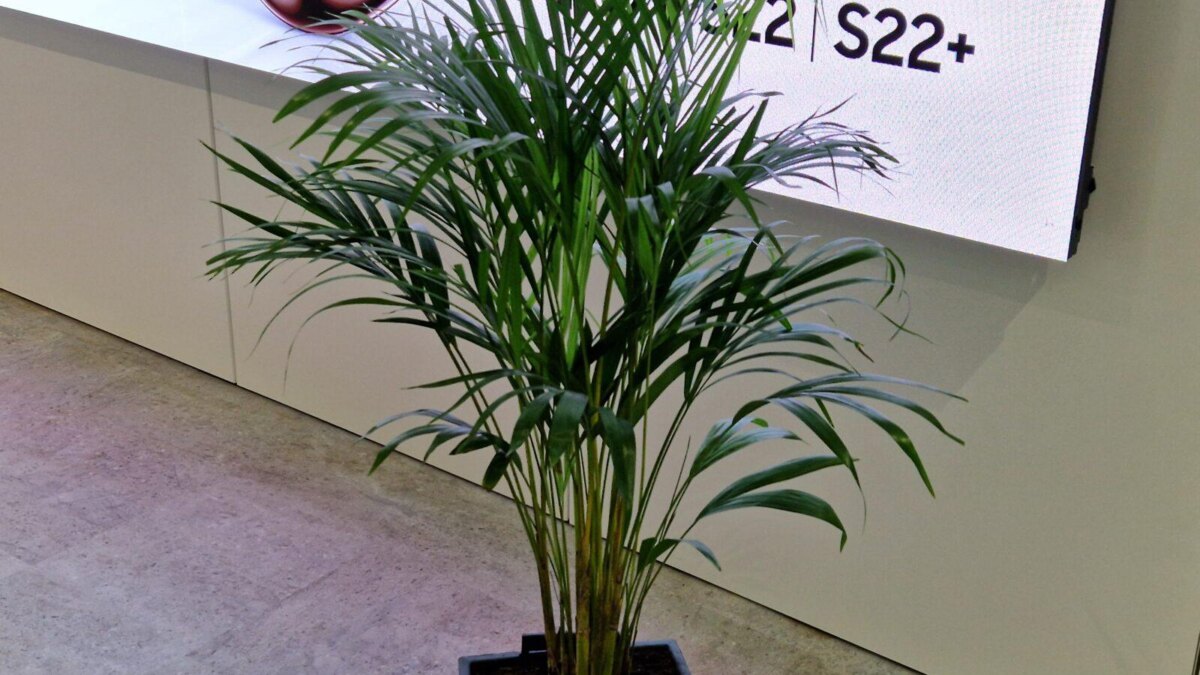 20220211 022322 scaled