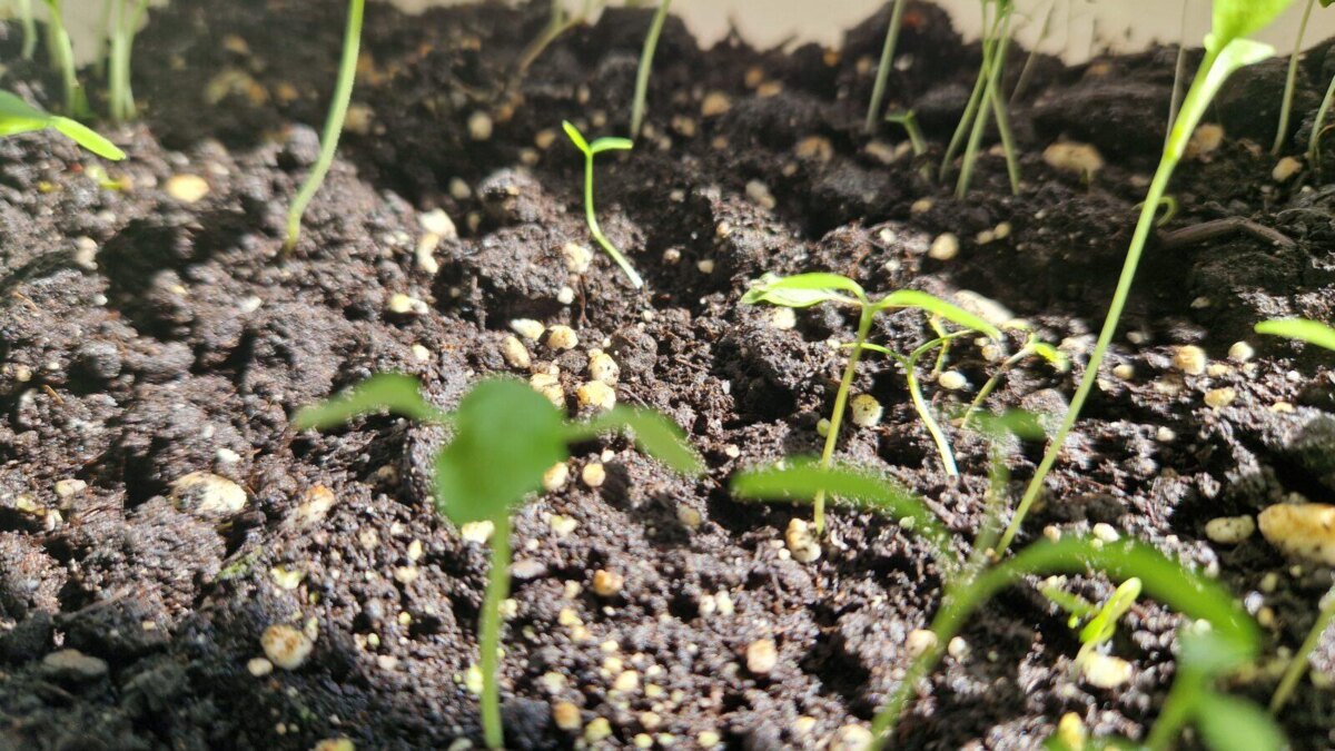 20220520 152640 scaled