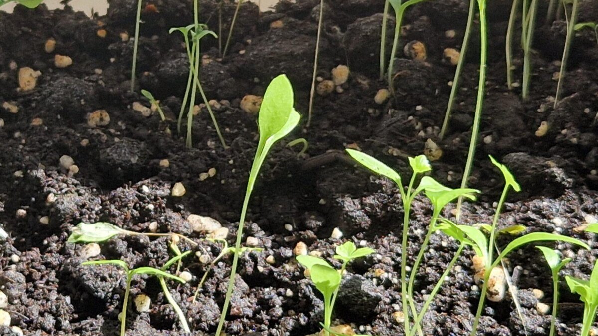 20220520 152706 scaled