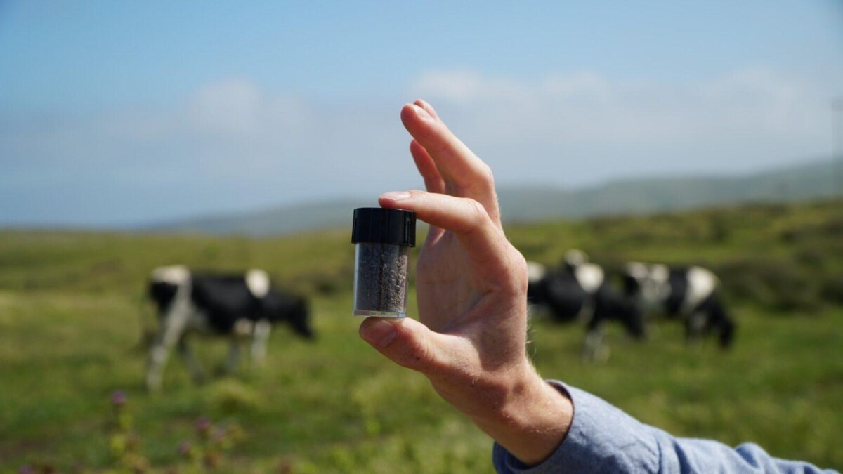 Новые и полезные: 5 стартапов, которые удивляют 6 Volta Greentech