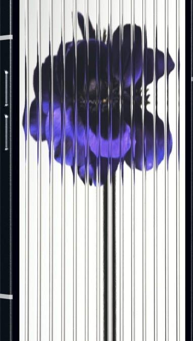 Nothing phone (1): утечка официальных рендеров 15 Nothing phone