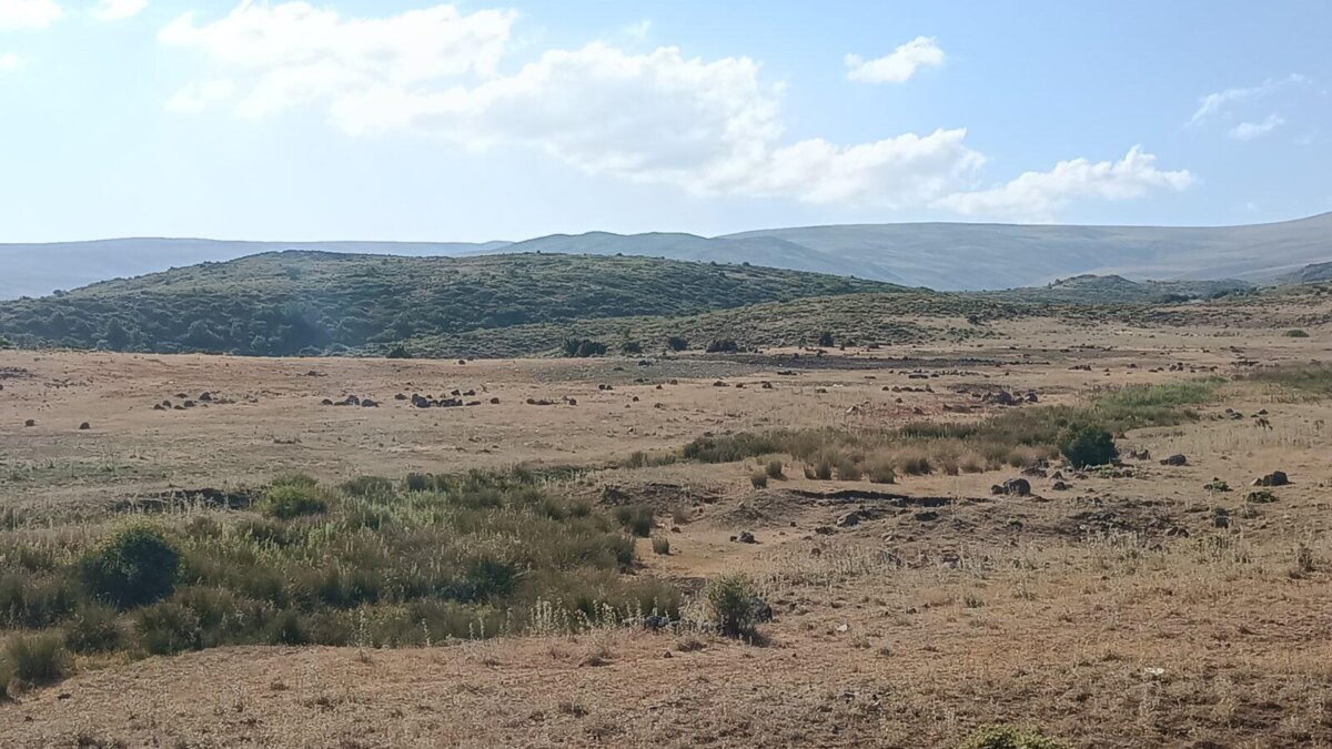 Обзор Infinix Note 12 VIP: флагман по адекватной цене 83 IMG 20220510 042013 616 scaled