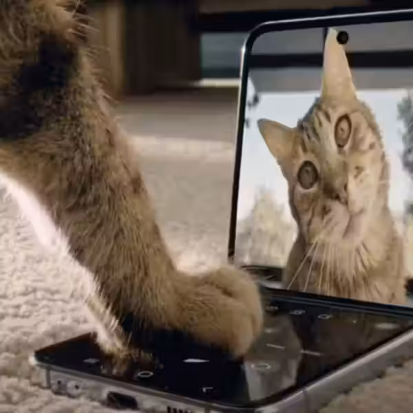 Snimok ekrana 2022 08 10 v 17.16.09