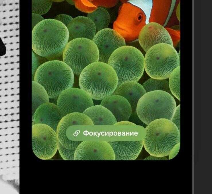 iOS 16: настройка экрана блокировки 38 iOS 16