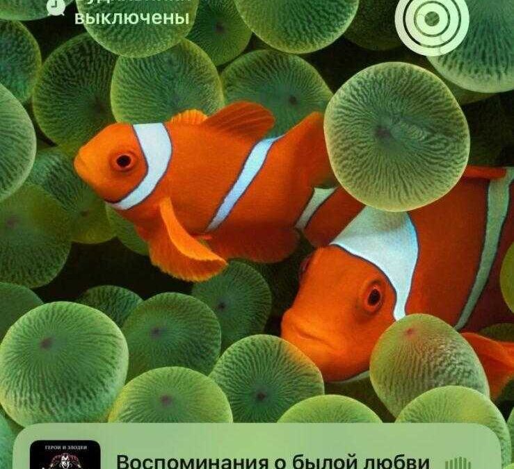 iOS 16: настройка экрана блокировки 36 iOS 16