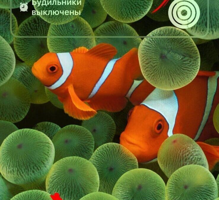 iOS 16: настройка экрана блокировки 34 iOS 16