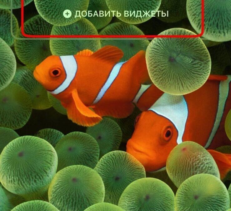 iOS 16: настройка экрана блокировки 26 iOS 16