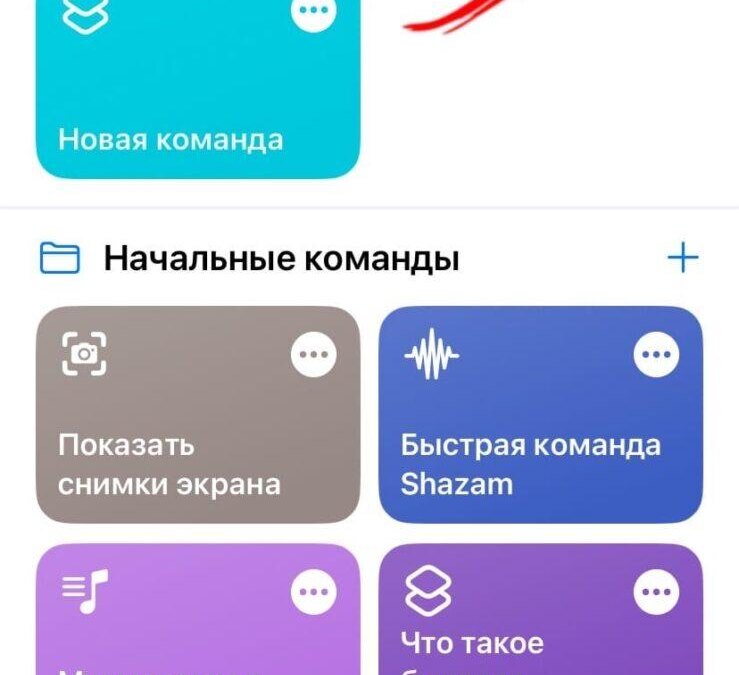 Экран приложения на iPhone с кнопкой добавления и быстрыми командами