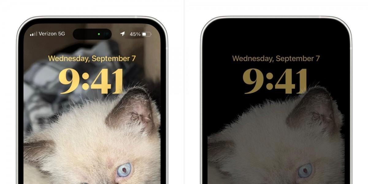 Демонстрация двойного выреза iPhone 14: утечка схемы фронтальных камер для селфи