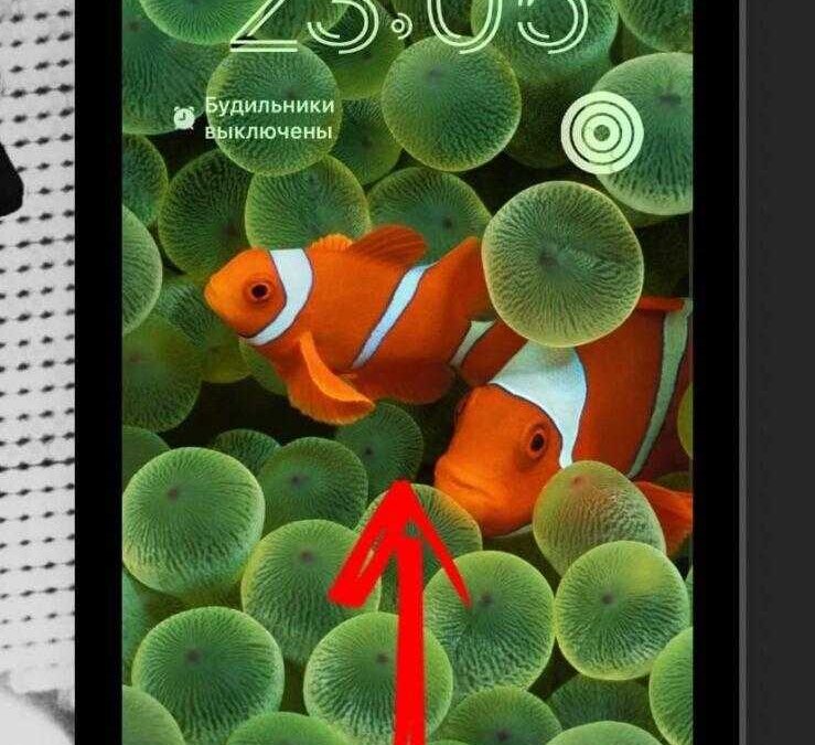 iOS 16: настройка экрана блокировки 37 iOS 16