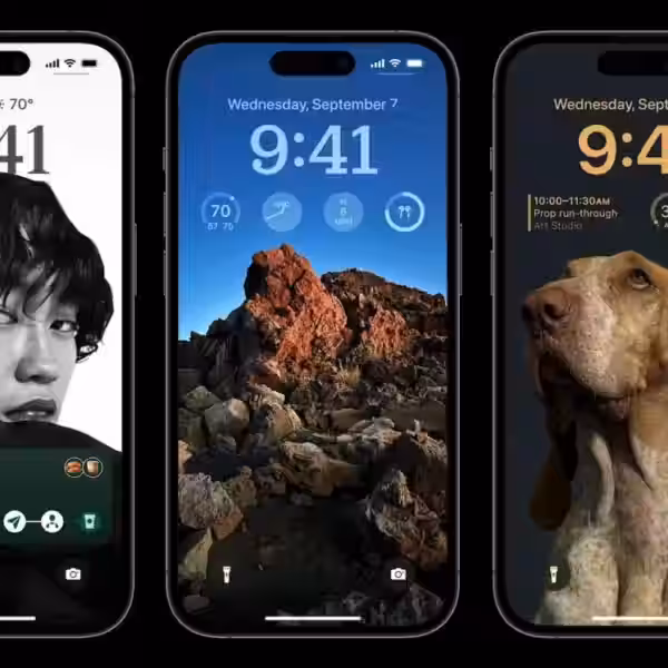 photo 2022 09 07 21 16 31 large