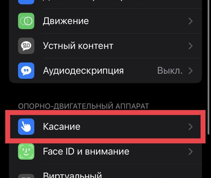 Настройка функции касания задней панели iPhone в настройках