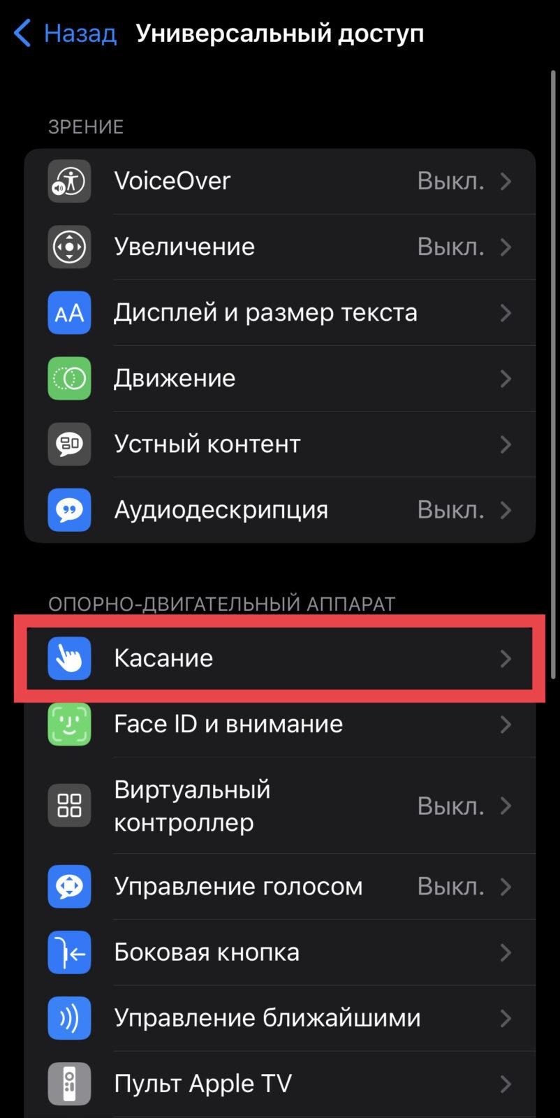 Секреты iOS: как использовать заднюю панель iPhone в качестве кнопки (IMG 6817)