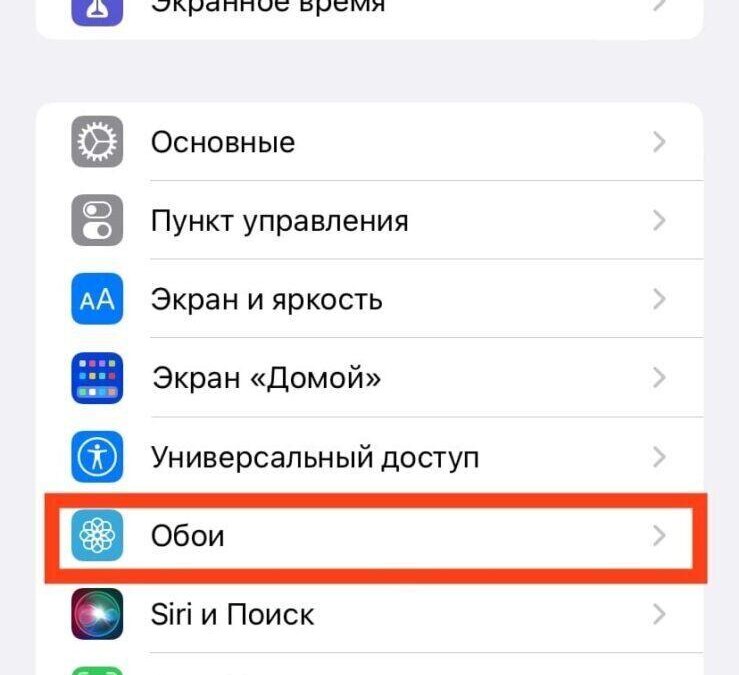 Apple: как настроить автоматическую смену обоев на iPhone 9 Apple