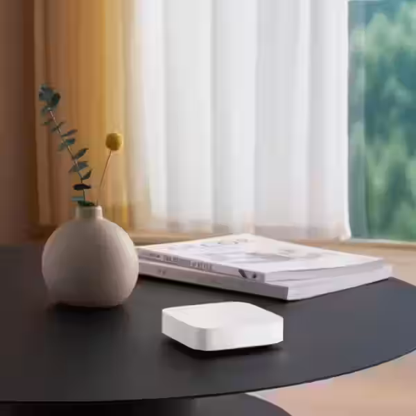Smart Home Hub 2 4