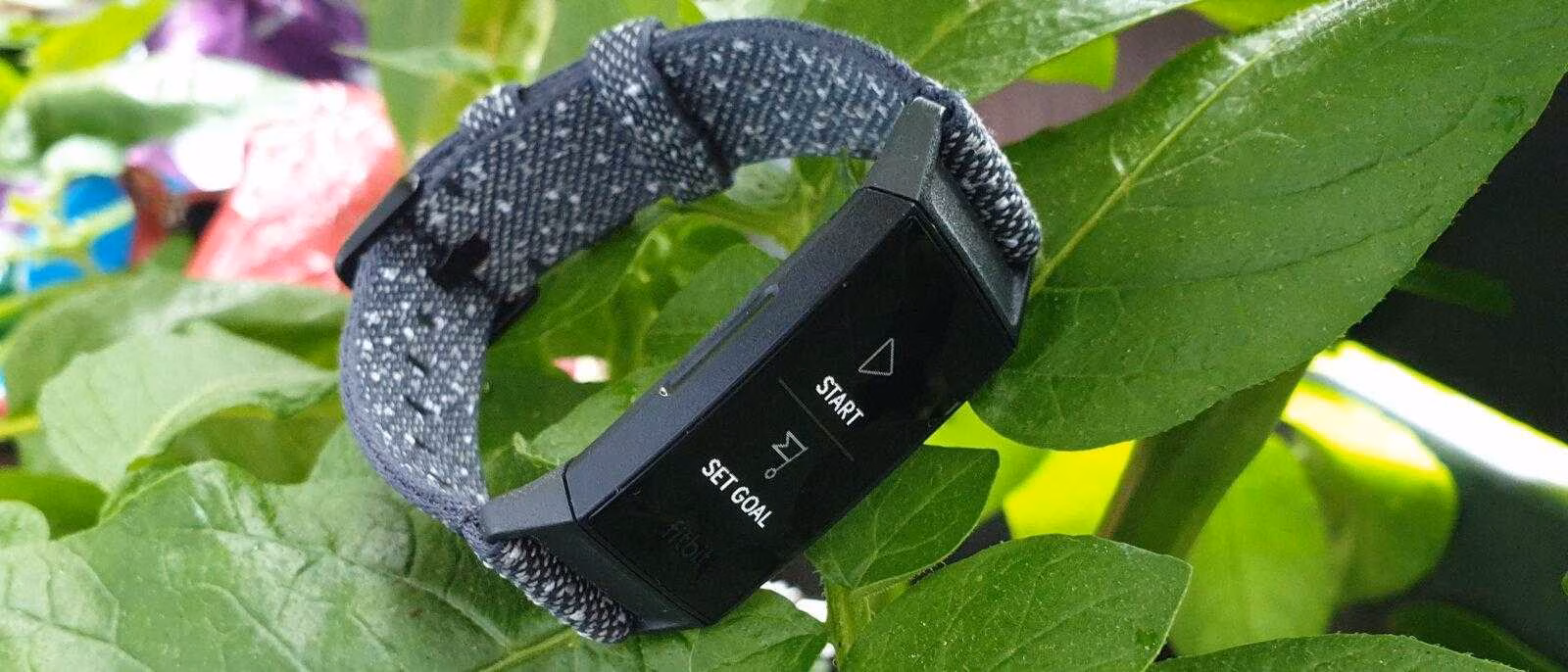 Панель мониторинга показателей здоровья Fitbit будет бесплатной 2