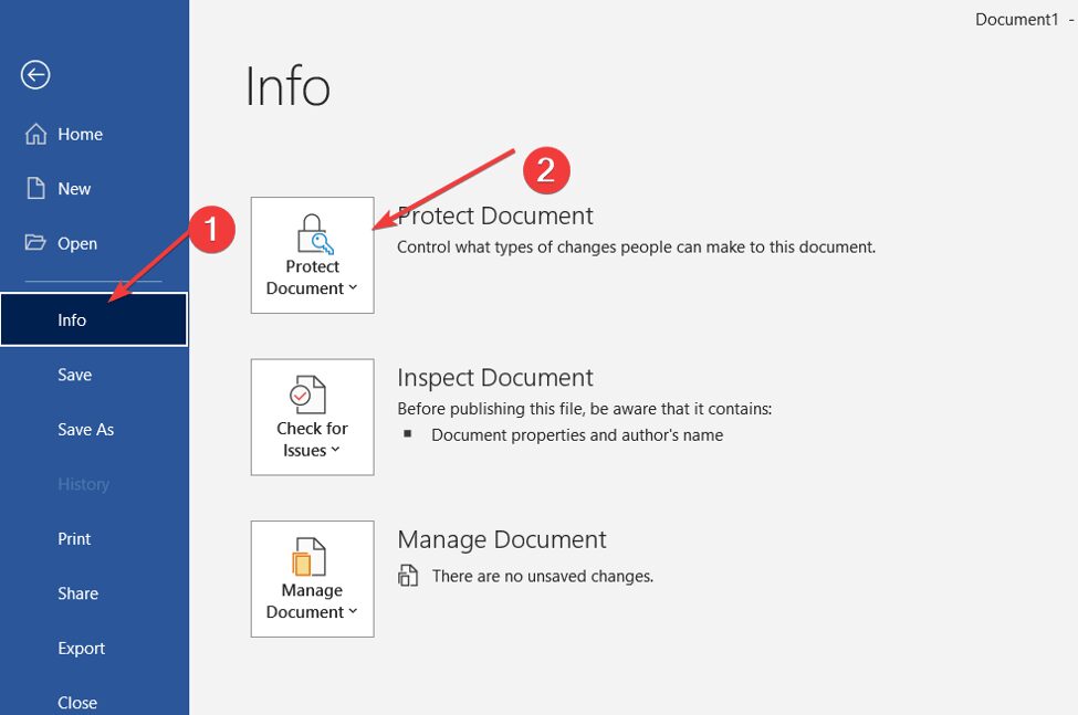 Экран меню в Microsoft Word с выделенной опцией защиты документа