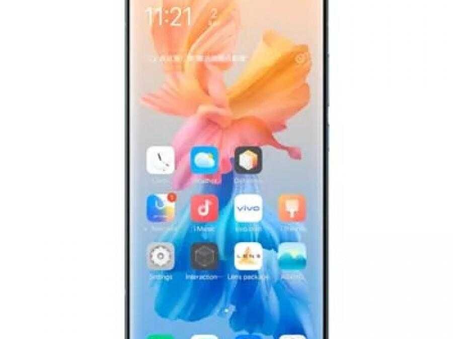 vivo