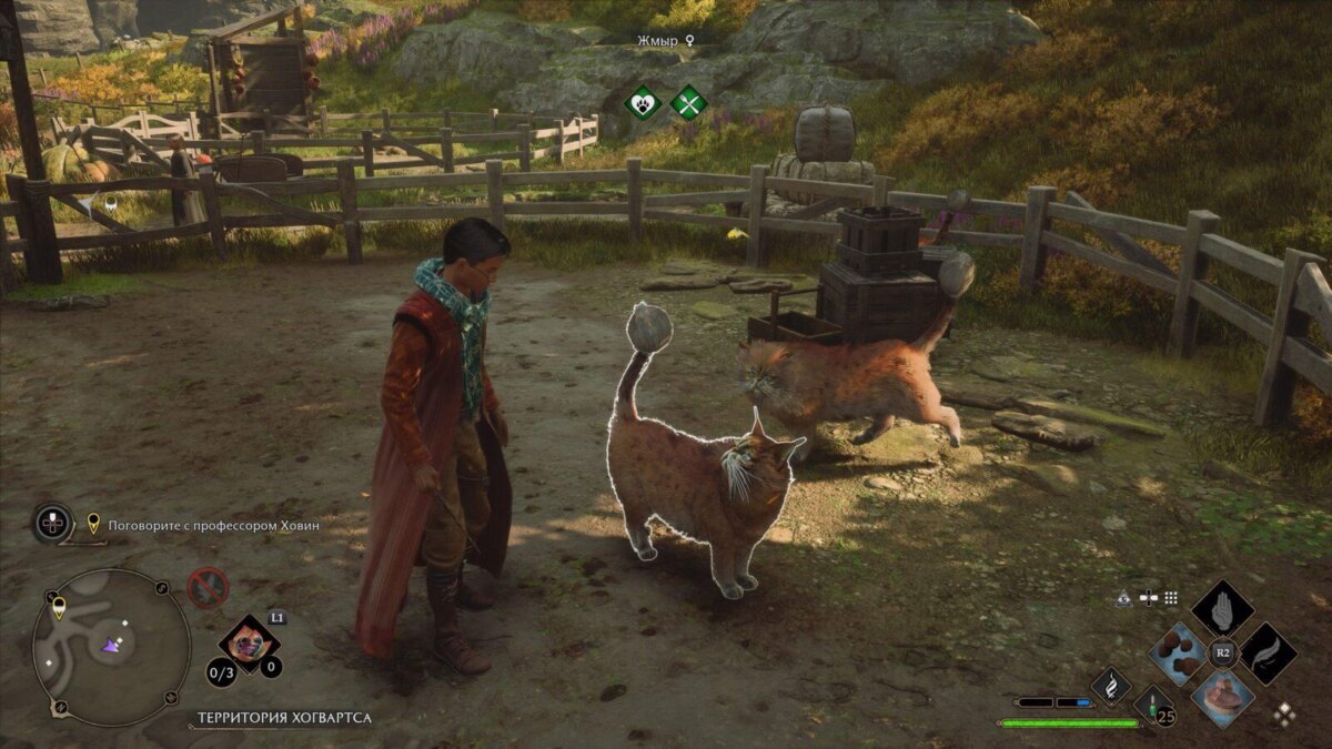 Обзор Hogwarts Legacy — "лучшая игра 2013 года" 25 hogvarts nasledie 20230411161159 scaled